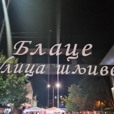 Domacinstvo Trifunovic Apartment Pretresnja ภายนอก รูปภาพ