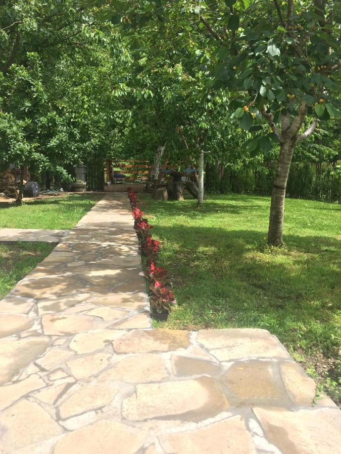 Domacinstvo Trifunovic Apartment Pretresnja ภายนอก รูปภาพ