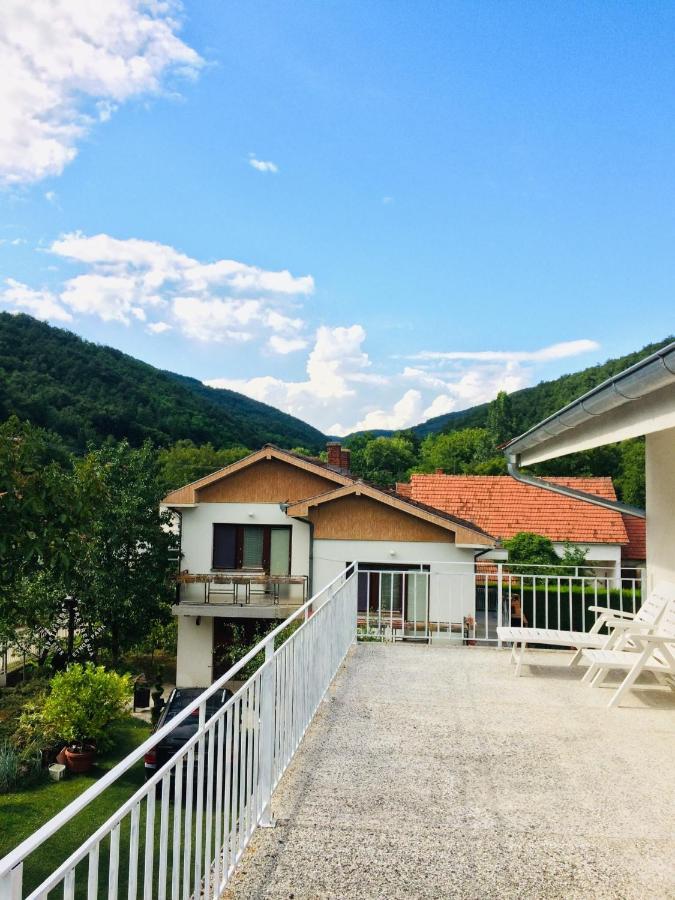 Domacinstvo Trifunovic Apartment Pretresnja ภายนอก รูปภาพ