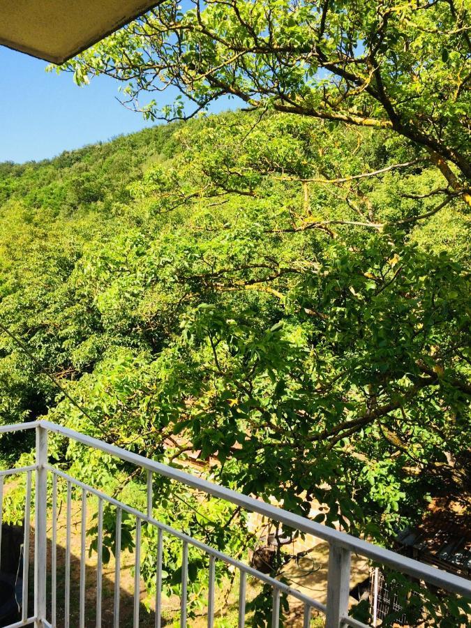 Domacinstvo Trifunovic Apartment Pretresnja ภายนอก รูปภาพ