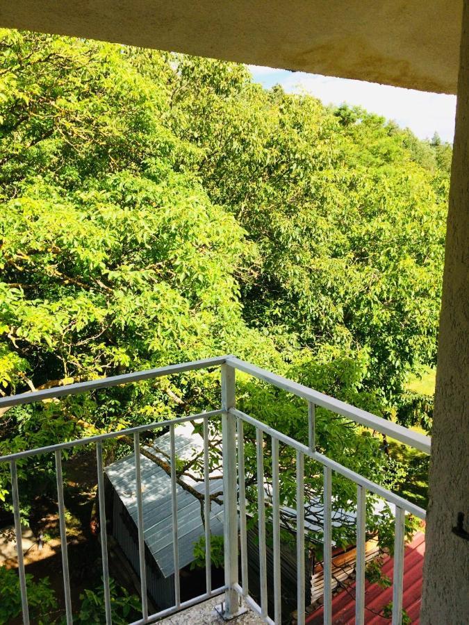 Domacinstvo Trifunovic Apartment Pretresnja ภายนอก รูปภาพ
