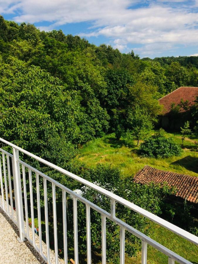 Domacinstvo Trifunovic Apartment Pretresnja ภายนอก รูปภาพ