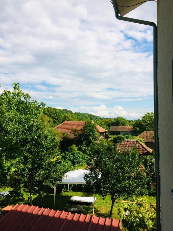 Domacinstvo Trifunovic Apartment Pretresnja ภายนอก รูปภาพ