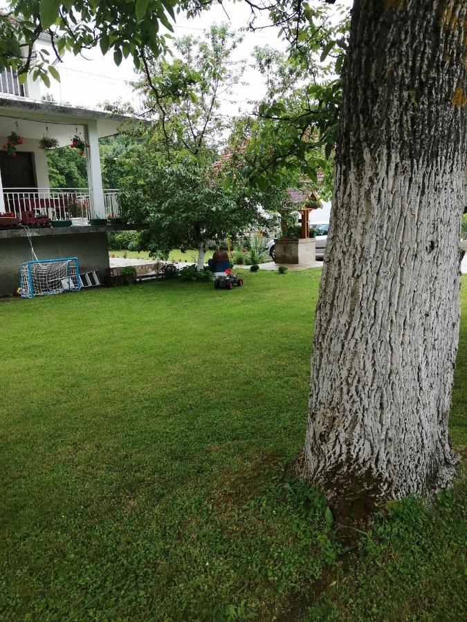 Domacinstvo Trifunovic Apartment Pretresnja ภายนอก รูปภาพ