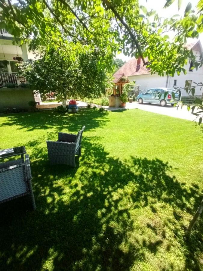 Domacinstvo Trifunovic Apartment Pretresnja ภายนอก รูปภาพ