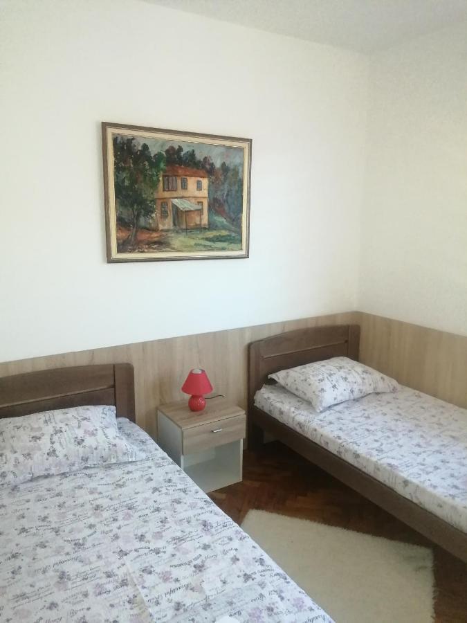 Domacinstvo Trifunovic Apartment Pretresnja ภายนอก รูปภาพ