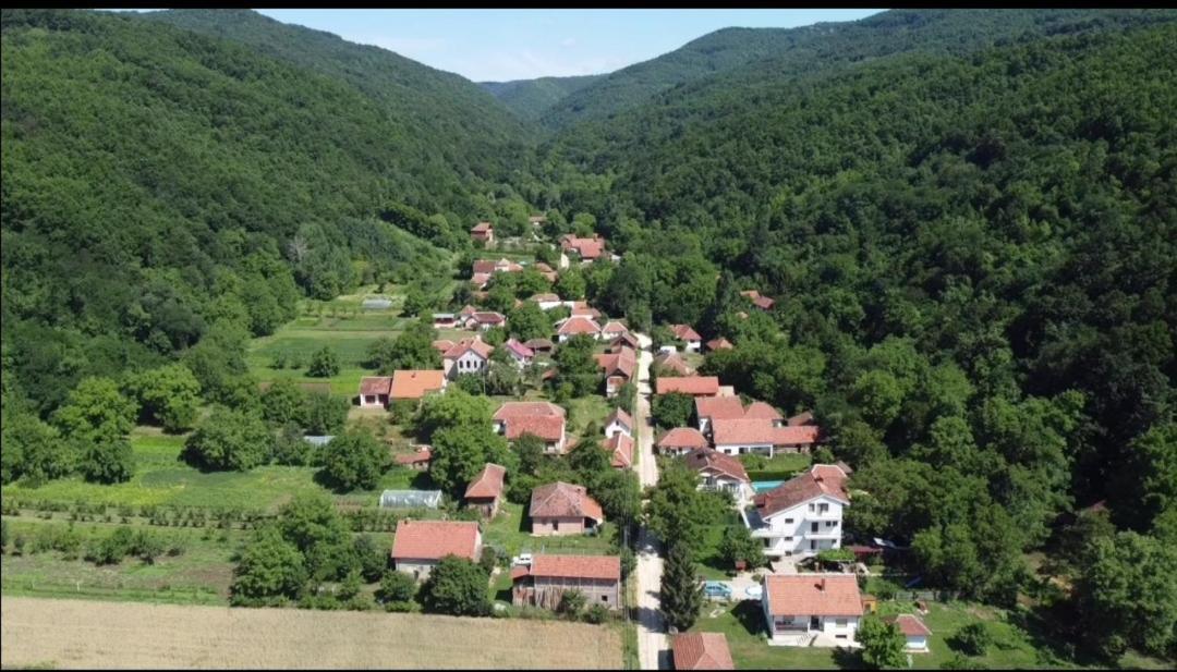 Domacinstvo Trifunovic Apartment Pretresnja ภายนอก รูปภาพ