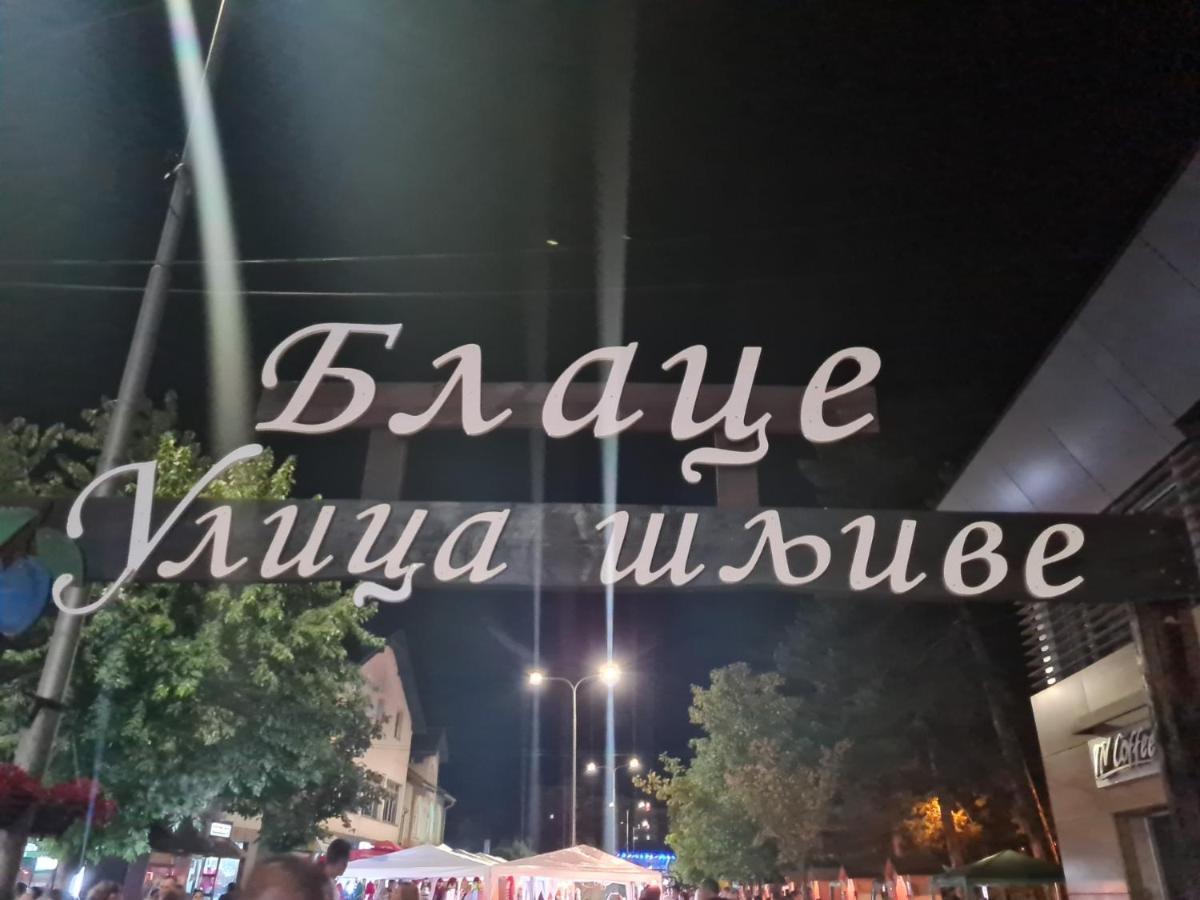 Domacinstvo Trifunovic Apartment Pretresnja ภายนอก รูปภาพ